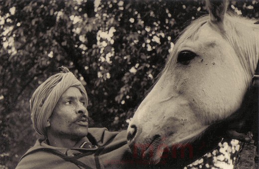 Spahi-Soldat mit Pferd, Juni 1940