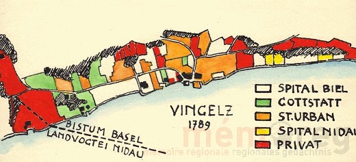 Grundeigentum in Vingelz, 1789