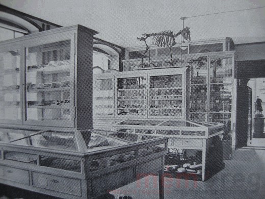 Ausstellungsvitrinen des Museums Schwab in Biel
