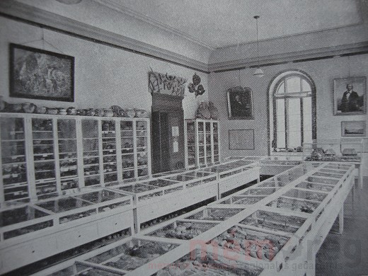 Die Pfahlbausammlung im Museum Schwab in Biel, um 1934