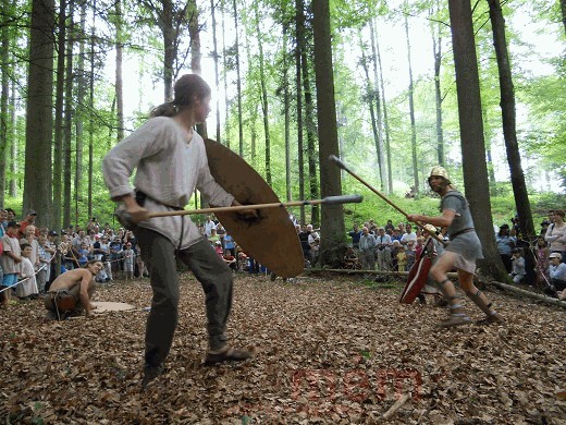 Impressionen vom Petinesca-Fest