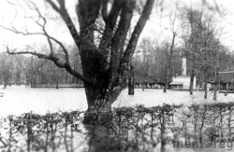 Die Ufer des Bielersees bei Nidau